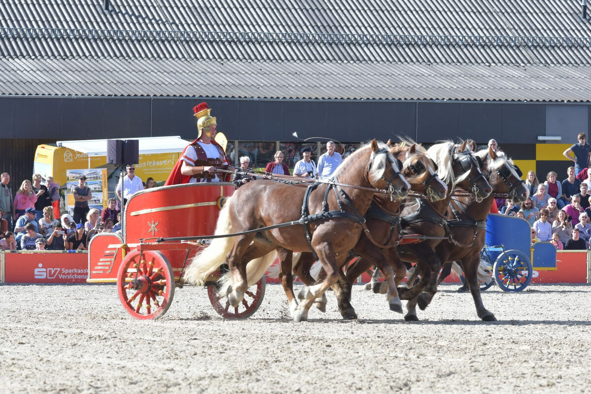 hengstparade_marbach_2019_meyer_11