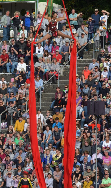 hengstparade_marbach_2019_meyer_21
