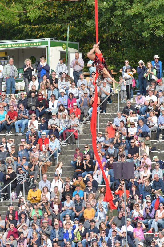 hengstparade_marbach_2019_meyer_22
