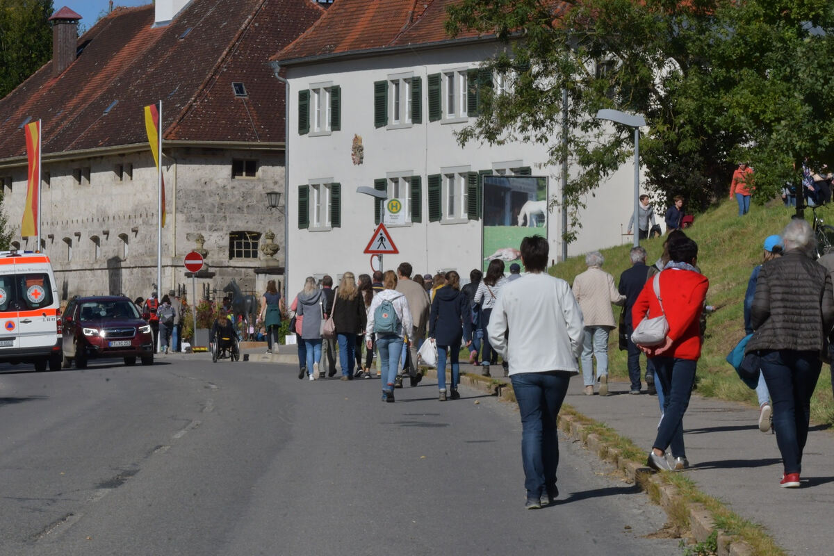 hengstparade_marbach_2019_meyer_23