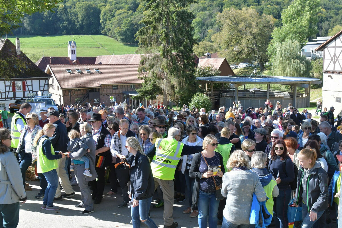 hengstparade_marbach_2019_meyer_24