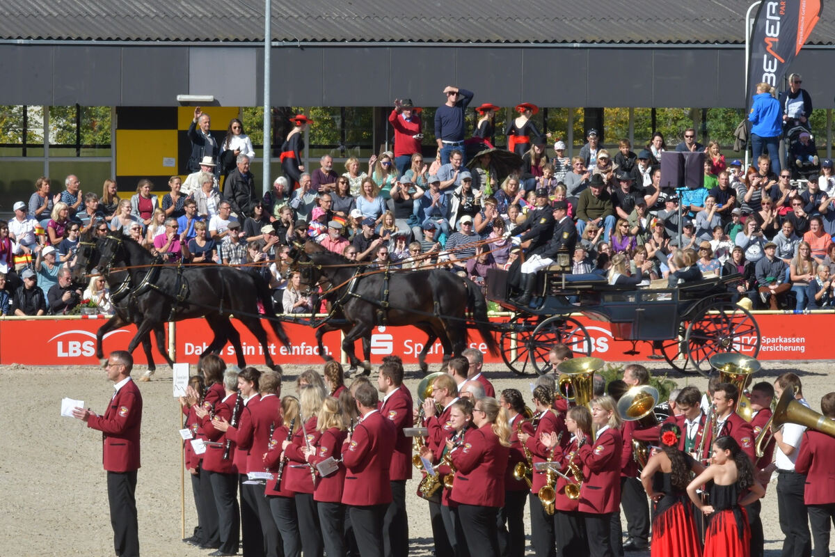 hengstparade_marbach_2019_meyer_26