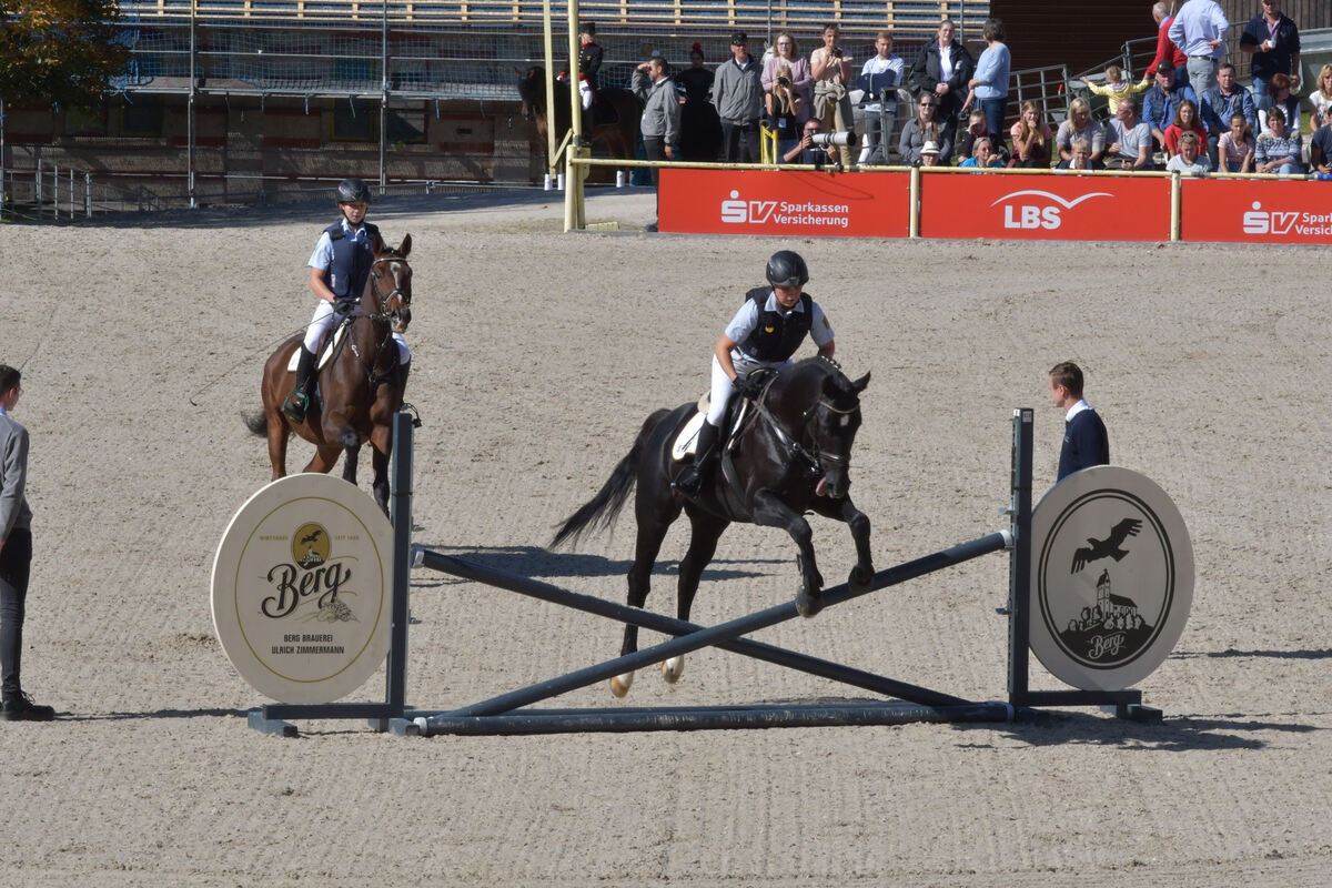 hengstparade_marbach_2019_meyer_28