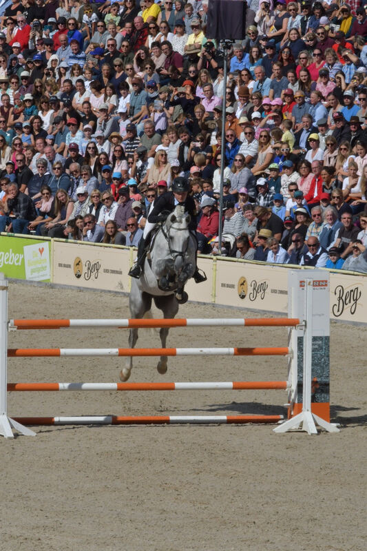 hengstparade_marbach_2019_meyer_30