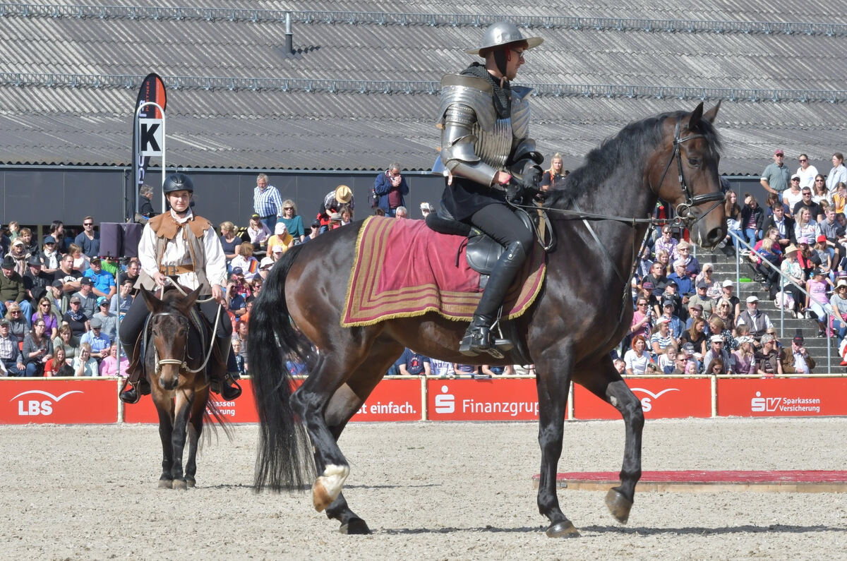 hengstparade_marbach_2019_meyer_31