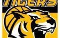Die Tigers Tübingen sind künftig eine AG