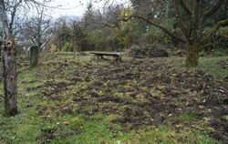 Oberhalb der Steinenbergstraße haben Wildschweine sich bis an die Häuser herangearbeitet.