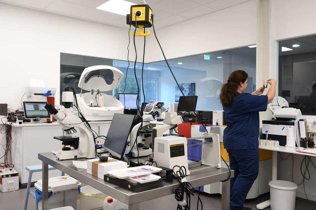 Das Labor liegt in der Mitte des Kleintiermedizinischen Zentrums in einem Glaskasten. Das Labor liegt in der Mitte des Kleintiermedizinischen Zentrums in einem Glaskasten.