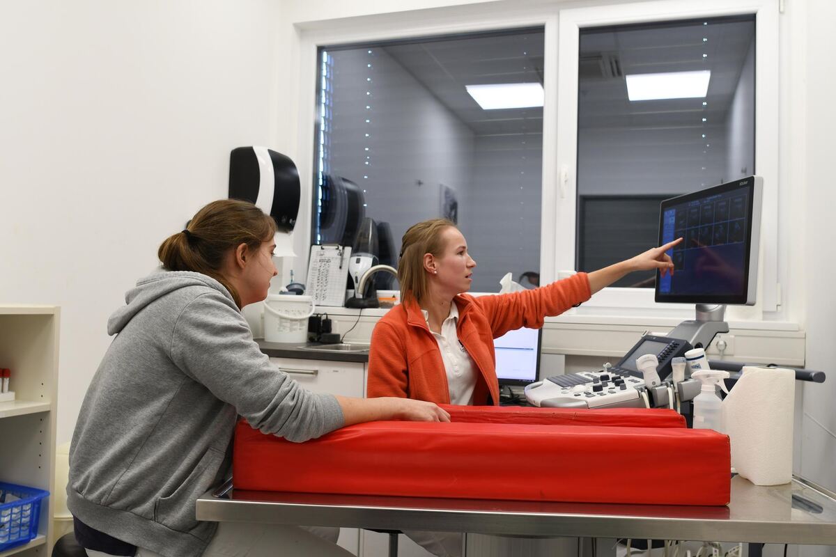 Tierärztin M. und Nora Sidaine-Daumiller (links) besprechen eine Diagnose am Bildschirm. Tierärztin M. und Nora Sidaine-Daumiller (links) besprechen eine Diagnose am Bildschirm.