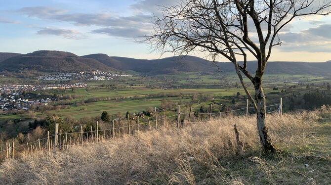 Blick über den kleinen Weinberg am Georgenberg in Richtung Albrand. Auch ohne ein Glas Wein berauschend.