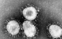 Coronavirus
