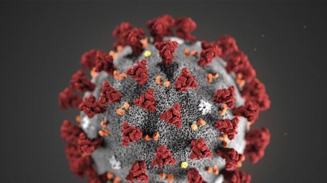 Eine Mikroskopaufnahme zeigt das Coronavirus