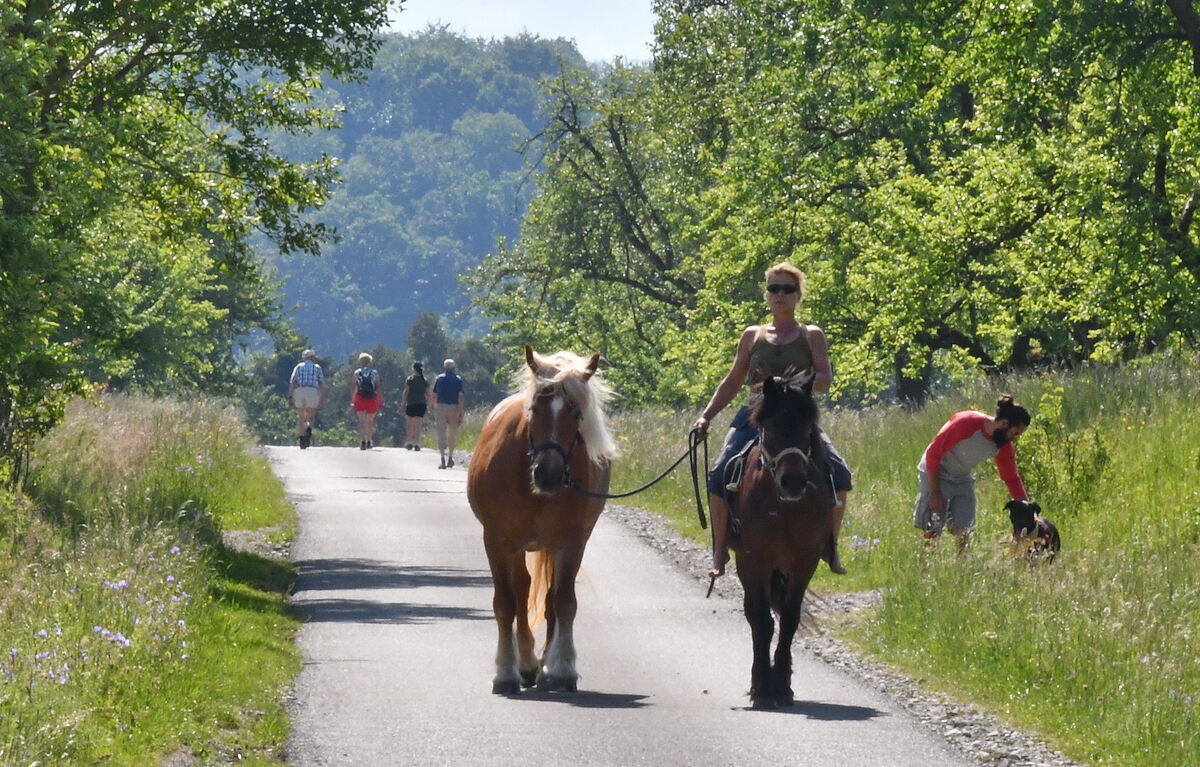 Mit Kind Kegel Pferd und Hund im Nehrener Schwanholz FOTO MEYER