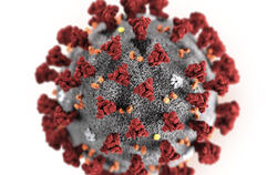 Coronavirus, Lungenkrankheit, Illustration