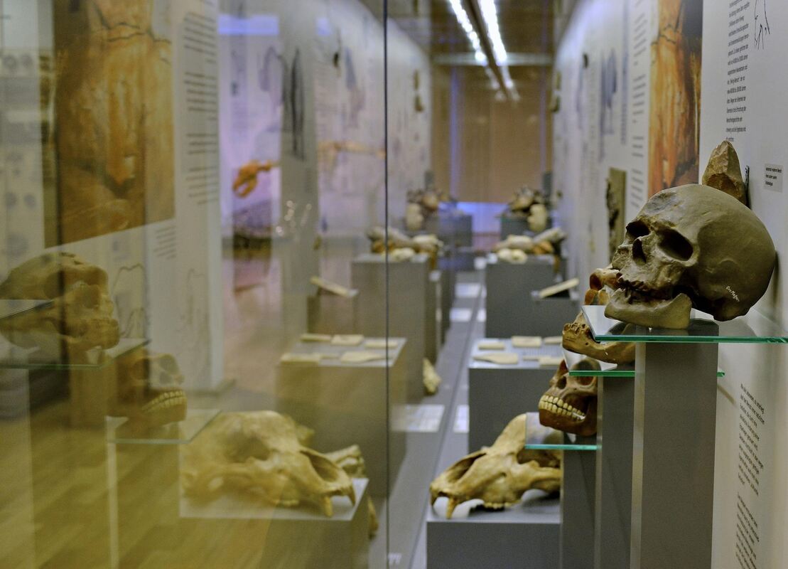 Stadt-0906-7Naturkundemuseum-Niethammer