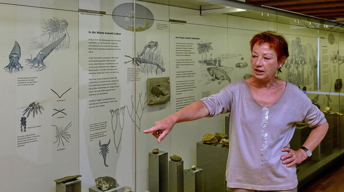 Die Leiterin des Naturkundemuseums, Barbara Karwatzki, zeigt spannende Schaustücke aus aller Welt. FOTOS: NIETHAMMER Die Leiterin des Naturkundemuseums, Barbara Karwatzki, zeigt spannende Schaustücke aus aller Welt. FOTOS: NIETHAMMER