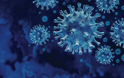 Unser Thema: das Coronavirus. ILLUSTRATION: ADOBE STOCK