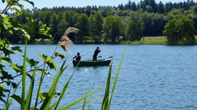 Verträumte Buchten, ein Rundwanderweg und ein Seefreibad. Der Illmensee ist ein beliebter Familienurlaubsort.  FOTO: DORIS BURGE