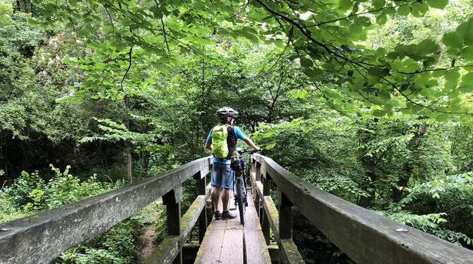 Dschungel-Feeling auf der Schwäbischen Alb. Auch das ist ein Erlebnis auf der TransAlblust.  FOTO: GOLDACK