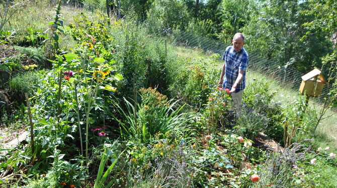 Uli Meier hat sich in Würtingen mit seinem Garten eine Wohlfühloase angelegt – und das, obwohl die Voraussetzungen denkbar schwi Uli Meier hat sich in Würtingen mit seinem Garten eine Wohlfühloase angelegt – und das, obwohl die Voraussetzungen denkbar schwi