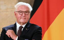 Frank-Walter Steinmeier