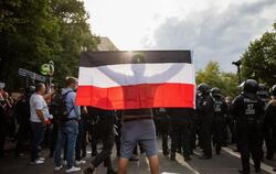 Reichsflagge auf Demo