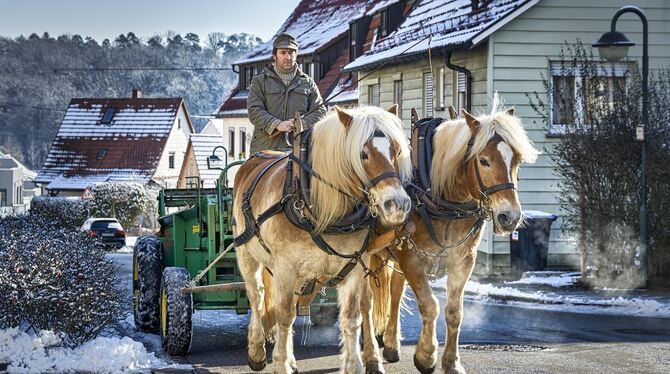 Entschleunigung dank zwei Pferdestärken: Die eingespannten Haflinger ziehen Florian Wagner auf einem Mistwagen durch das winterl Entschleunigung dank zwei Pferdestärken: Die eingespannten Haflinger ziehen Florian Wagner auf einem Mistwagen durch das winterl