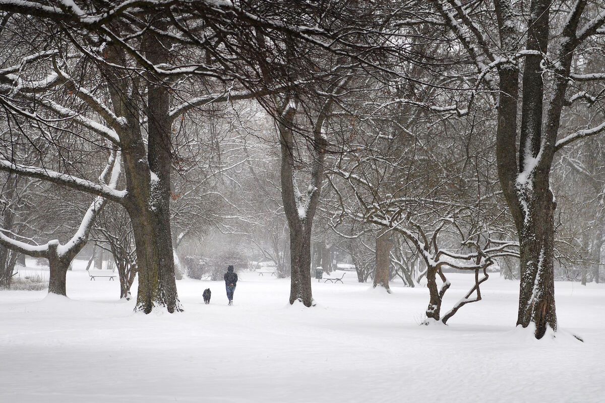 Stadtpark Reutlingen Winter Schnee