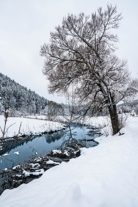 Lauchertsee_02