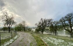 schaden_reicheneck_2306201_m_kalkhof_3