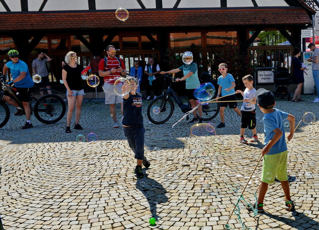 Erms-0609-9Weinkulturtag-Niethammer