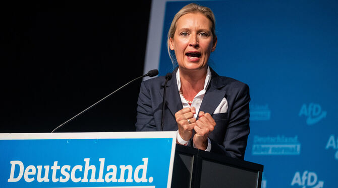 Alice Weidel (42) ist auch im Bund AfD-Spitzen- kandidatin. FOTO: SCHMIDT/DPA Alice Weidel (42) ist auch im Bund AfD-Spitzen- kandidatin. FOTO: SCHMIDT/DPA
