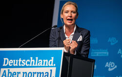Alice Weidel (42) ist auch im Bund AfD-Spitzen- kandidatin. FOTO: SCHMIDT/DPA 