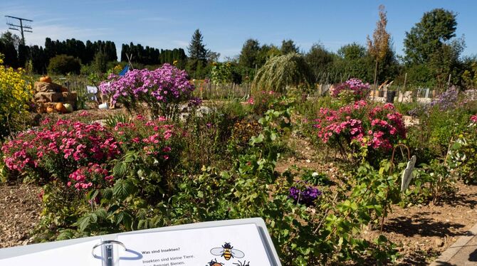 Ein Blick in den Kulturpark von Rappertshofen.  FOTO: HABILA GMBH
