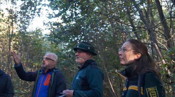Bürgermeister Holger Jerg (von links), Elmar Molnar und Juliane Spiegelhalter vor einem der ausgewählten Waldbilder. FOTO: WURS Bürgermeister Holger Jerg (von links), Elmar Molnar und Juliane Spiegelhalter vor einem der ausgewählten Waldbilder. FOTO: WURS