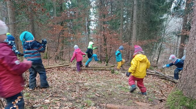 Spielen und toben im Wald: Die Kindergartenkinder (hier in Ohnastetten) nutzen das begeistert aus. FOTOS: DEWALD Spielen und toben im Wald: Die Kindergartenkinder (hier in Ohnastetten) nutzen das begeistert aus. FOTOS: DEWALD