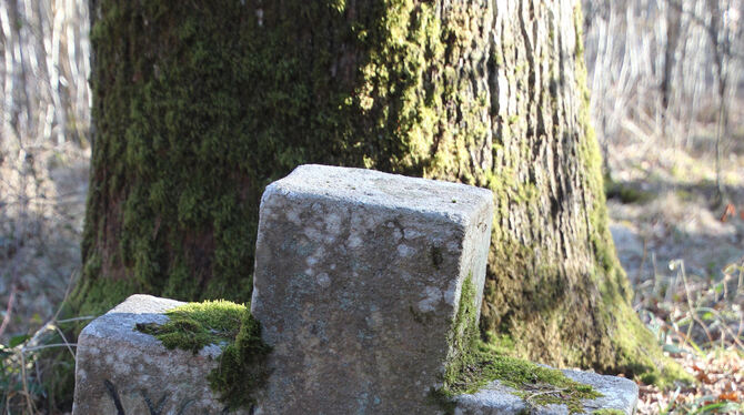 Der Gedenkstein im Wald bei Bebenhausen: Er erinnert an das Verbrechen an dem 15-jährigen Forstlehrling Wilhelm Pfeiffer. Der Gedenkstein im Wald bei Bebenhausen: Er erinnert an das Verbrechen an dem 15-jährigen Forstlehrling Wilhelm Pfeiffer.