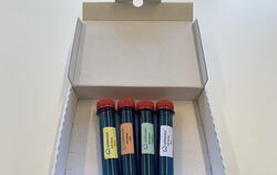 So sehen die in Flaschen-Rohlingen verpackten Riechsets aus.  FOTO: ROMINA