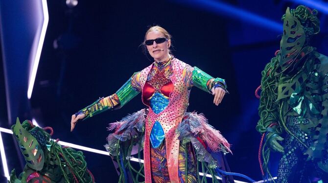 »The Masked Singer«