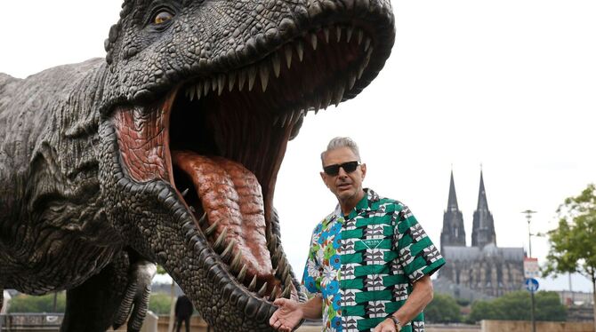 Jeff Goldblum Jeff Goldblum