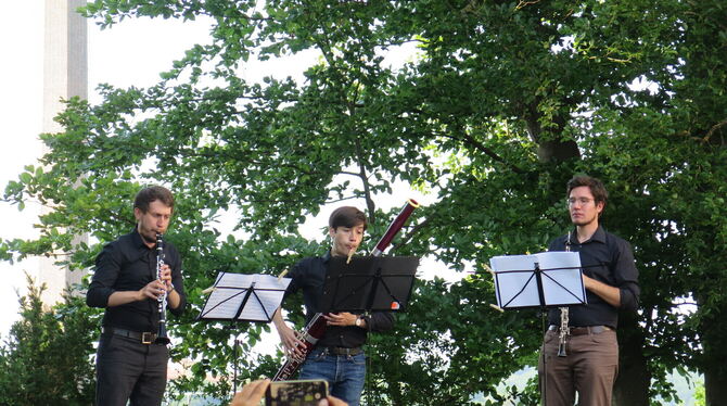 Die fröhliche Bläsermusik vom Trio Tritonus verbreitete Feststimmung. FOTO: RIESNER Die fröhliche Bläsermusik vom Trio Tritonus verbreitete Feststimmung. FOTO: RIESNER