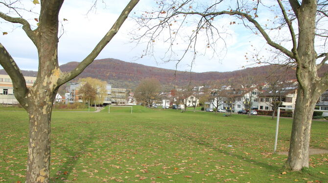 Der favorisierte Standort für einen achtgruppigen Neubau: Der Bolzplatz in der Hölderlin-straße befindet sich direkt neben der S Der favorisierte Standort für einen achtgruppigen Neubau: Der Bolzplatz in der Hölderlin-straße befindet sich direkt neben der S