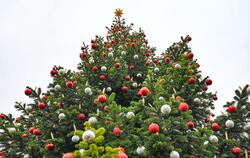 Weihnachtsbaum