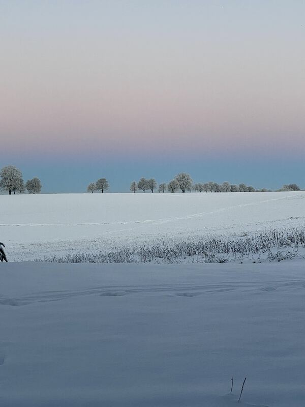 29 Guten Morgen
