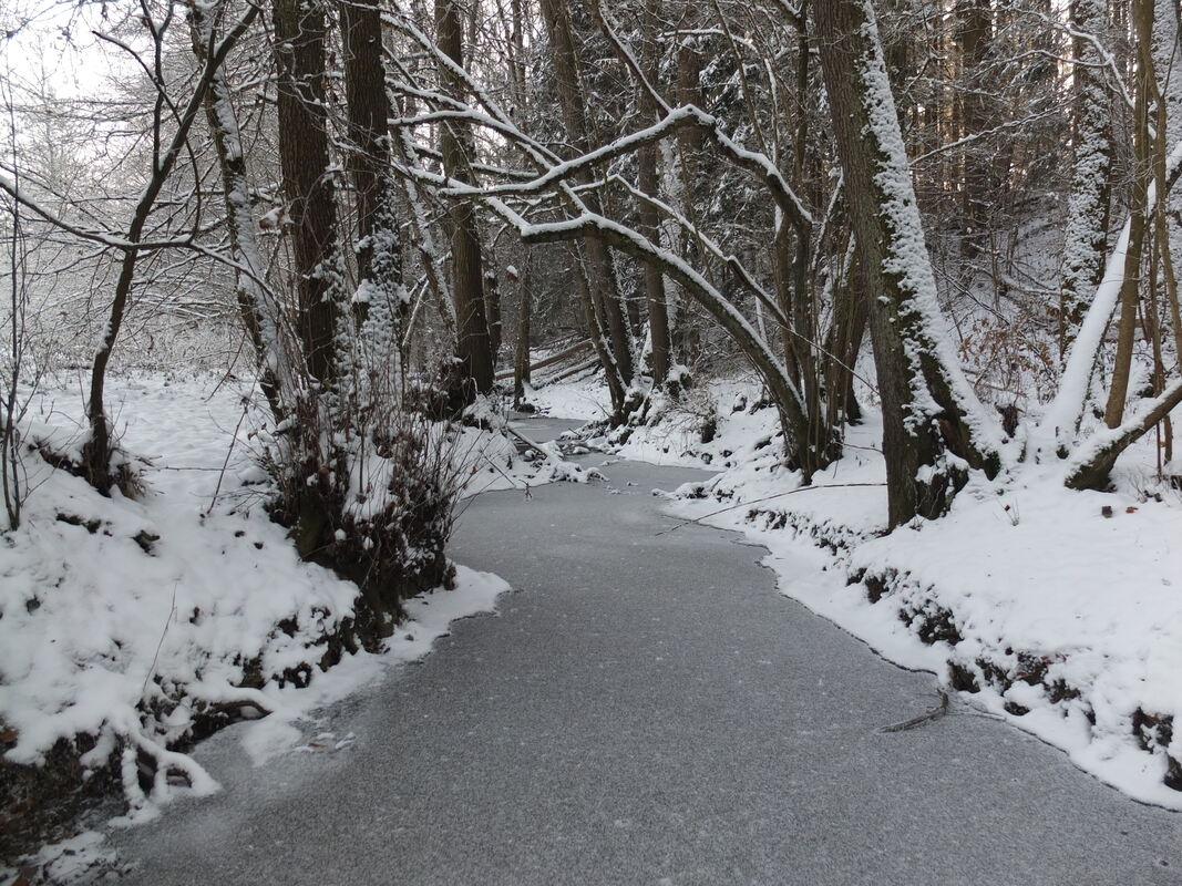 69 Reichenbach im Winter