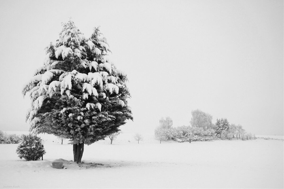 71 Whiteout