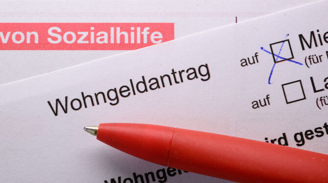 Sozialhilfe, Reutlingen In Reutlingen sind knapp 300 Menschen auf staatliche Sozialhilfe angewiesen. Die Mehrheit hat einen deutschen Pass.