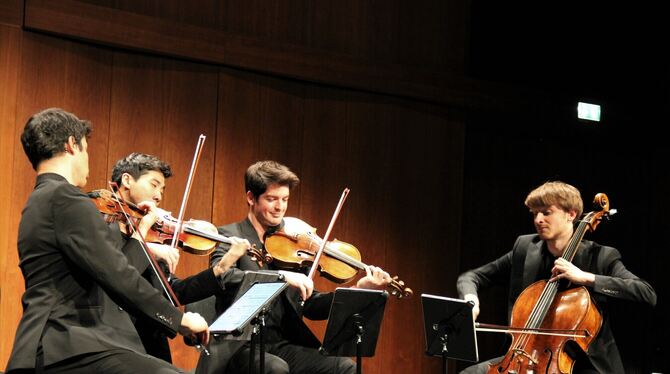 Szene aus dem Konzert.  FOTO: VARADY