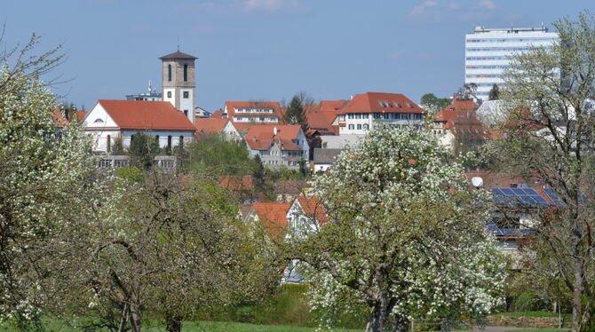 Gomaringens drei Wahrzeichen – Kirche, Schloss und Naturana-Hochhaus – mit unbebauter Streuobstwiesenfläche davor. Zusammen mit Gomaringens drei Wahrzeichen – Kirche, Schloss und Naturana-Hochhaus – mit unbebauter Streuobstwiesenfläche davor. Zusammen mit