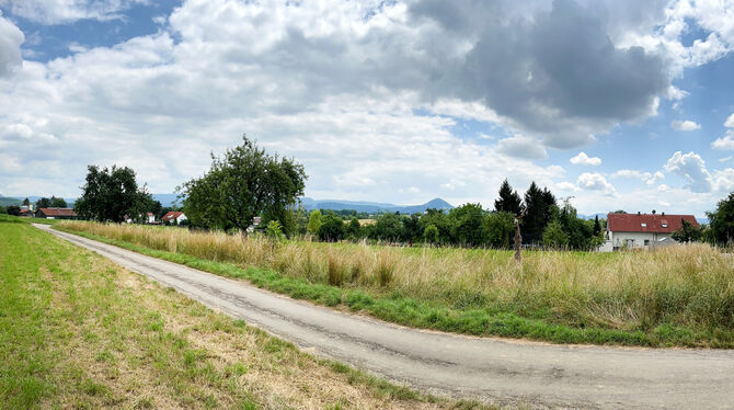 Im Baugebiet »Gassenäcker« sollen 56 Wohneinheiten entstehen. Baubeginn wäre frühestens ab 2025.  FOTO: PIETH